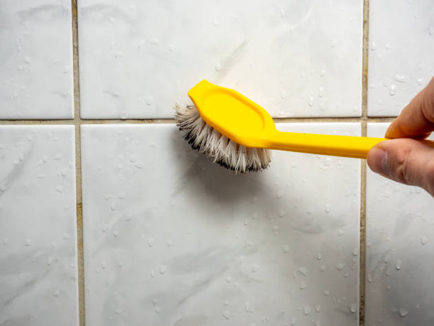 Best Black Mold Removal  in Crompond, NY