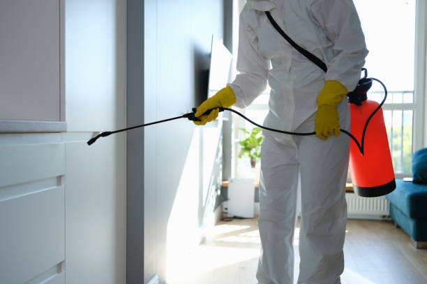 Best Crawl Space Mold Removal  in Crompond, NY