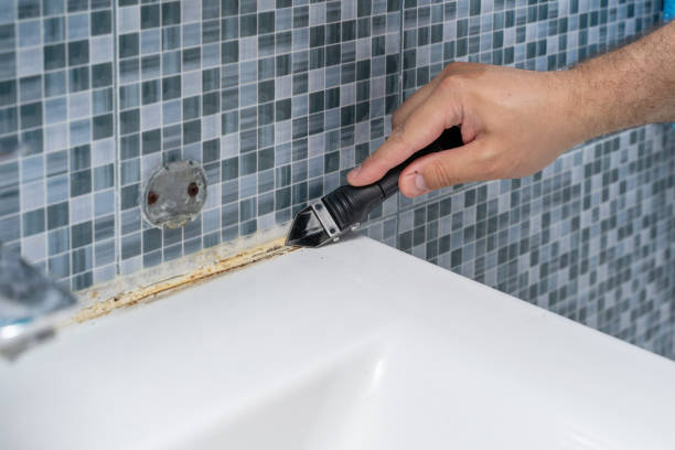 Best Commercial Mold Removal  in Crompond, NY