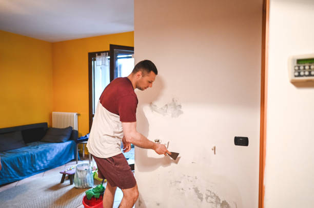 Mold Removal and Inspection in Crompond, NY